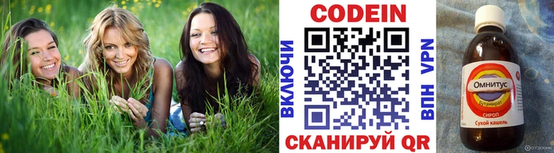 Codein напиток Lean (лин)  Купить  Анива 
