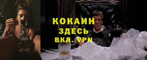 винт Богородицк