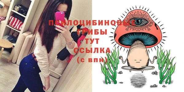 героин Богданович