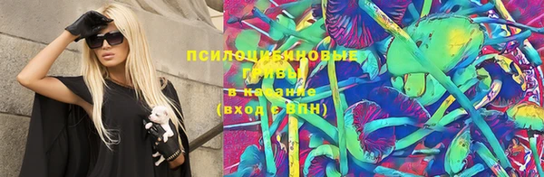 героин Богданович