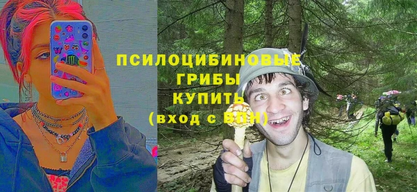 винт Богородицк