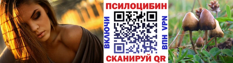 Псилоцибиновые грибы GOLDEN TEACHER  Купить  Анива 